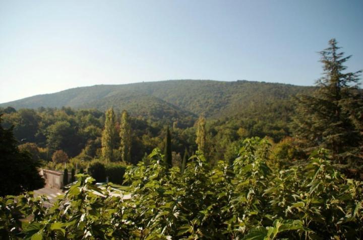 Traditional restaurant Dieulefit